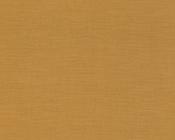 A1109 Gold Textured Plain