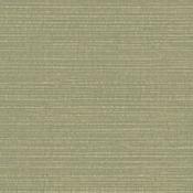 RW726240S Green Textured Plain Wallpaper