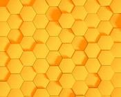 Honey Comb 2 Mural image