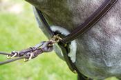 Salisbury 5 Point Breastplate image