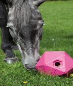 Treat Ball