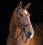 Rambo Micklem Multi Bridle image