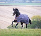 Tempest Original 200g Turnout Rug image