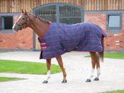 Tempest Plus 200g Stable Rug