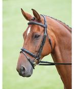 Salisbury Bodenham Bridle image