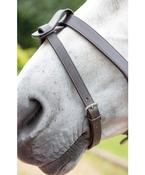 Flash Strap