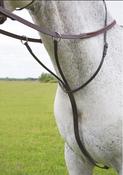 DMS 3 Point Martingale image
