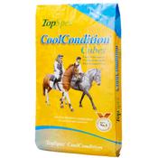 TopSpec CoolCondition Cubes