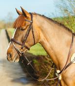 Mackey Classic Flash Bridle image