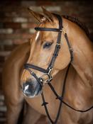 LeMieux Work Bridle image