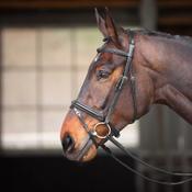 Velociti GARA Comfort Fit Bridle image