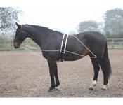 Lunging Aid