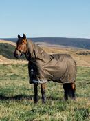 Arika Ripstop 200g Turnout Rug image
