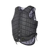 Titanium Ti22 Champion Back Protector image