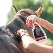 Smart Grooming Tame the Mane image