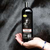 Black Magic Shampoo image