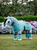 Toy Pony Bandages Lagoon