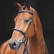 Salisbury Fairford Bridle image