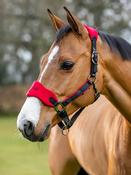 Vogue Headcollar &amp;amp; Leadrope Chilli image