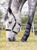 Break Away Headcollar Black