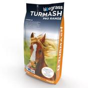 Bluegrass Turmash
