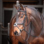 Velociti GARA Mexican Bridle image