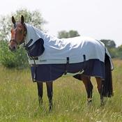 Tempest Original Summer Shield Rug image