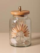 Airtight Jar With Real Petals Aster image