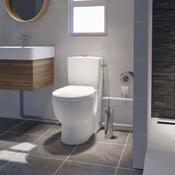 Saniflush