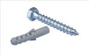 M10x50mm Coach Screw &amp; Plug (1)