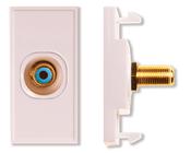 Single Blue RCA Module