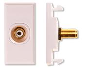 Single White RCA Module