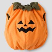 Pumpkin Halloween Costume [MN Olaja] image