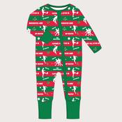 Smallies | Mayo GAA Zipped Sleepsuit Babygrow image