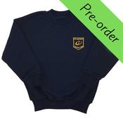 St. Mary's Blessington Junior Tracksuit Top image