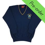 Carnew Blue Junior Jumper image