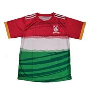 Kiltegan Training T-shirt Multicolour image