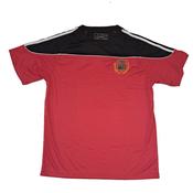 Gaelcholáiste Cheatharlach T-shirt image