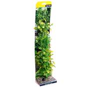 AquaOne Ecoscape XLarge Hygro Green 40cm image