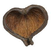 Ceramic Nature Thelambu Pods