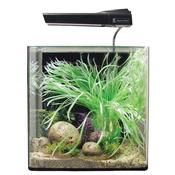 AquaOne AquaNano 40 Glass Aquarium