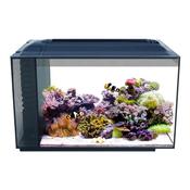 Fluval SEA Evo 52L Aquarium Set