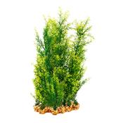 AquaOne Vibrance Hygrophila/Ludwigia (XL) image