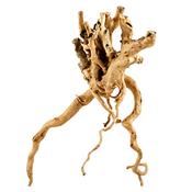 AquaOne Natural Azalea Root approx. 50 - 60 cm pieces