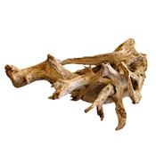 AquaOne Natural Mangrove Root Large (40-60cm) Real Wood