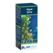 NT Labs Algae Gone 100ml image