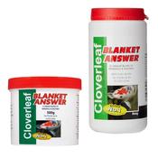 Cloverleaf Blanket Answer image