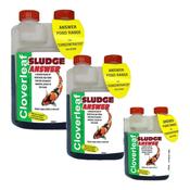 Cloverleaf Sludge Answer image