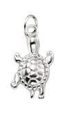 Turtle PENDANT image