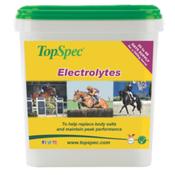 TopSpec Electrolytes image